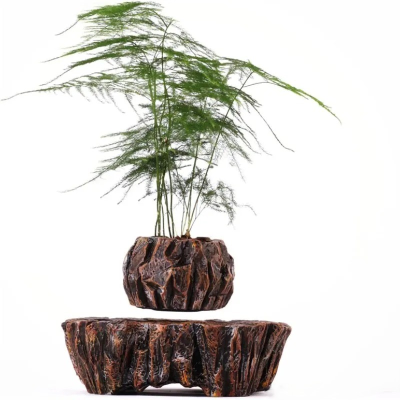 ZenFloat Levitating Bonsai — magnetic floating living plant, luxury gift